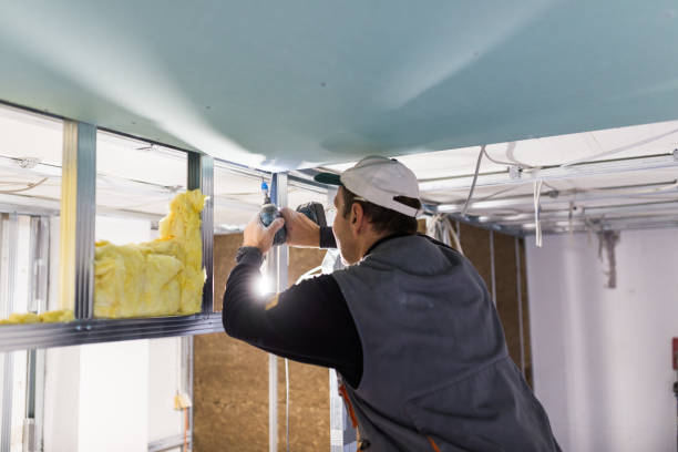 Best Blown-in Insulation in Healdton, OK